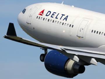 Delta Flight Interrupted by 2 Pigeons in the… 