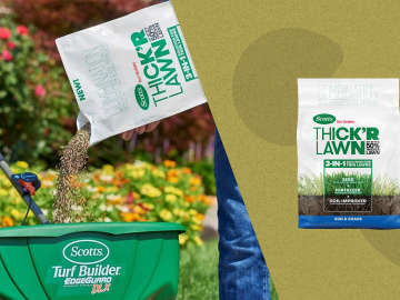 Scotts Fertilizer Is Nearly 50% Off on Amazon, and Shoppers Say It Makes Lawns Look 