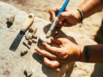 Ancient Hunting Discovery Sheds Light on Prehistoric Life in… 
