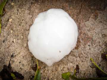 Wild Photos Show Home Destroyed by 