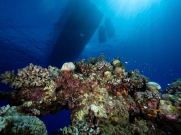 Scientists Share Worrying News About World