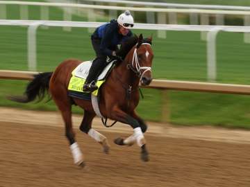 When Is the Kentucky Derby? Start Time & How to… 