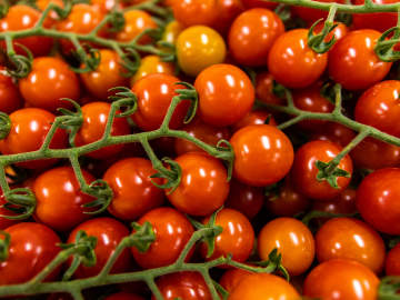 Tomatoes Recalled After FDA Warns of Severe Health… 
