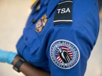 TSA Finds 