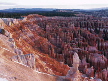Cat Survives 400-Foot National Park Fall That Killed 2… 