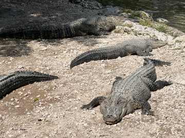 Photos Show Startling Drought Conditions in Florida… 