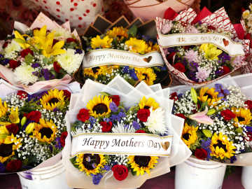 Price of Some Mother