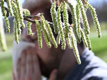 Small Midwestern City Named ‘Allergy Capital’ of… 