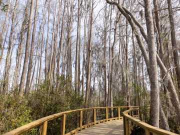 20 Recreational Parks in Georgia Forced To Close Until Further… 