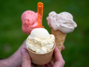 Museum of Ice Cream Closing Austin Location This… 