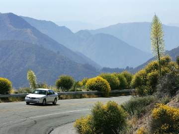 AAA Says to Expect Busy Memorial Day… 