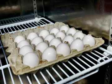 Southwest Egg Supply Shaken as Major Producer Shuts… 