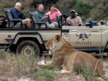 Businessman Dies ‘Horrifying’ Death While on Safari in… 