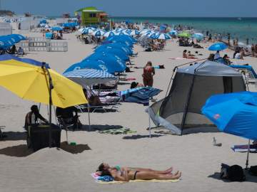 Florida Businesses Are Begging for Tourists After 2024 Hurricane… 