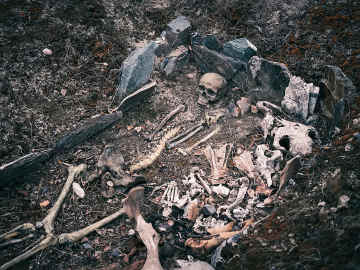 Archaeologists Find Grisly Evidence of Medieval Public Punishment… 