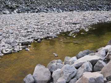 Rusty Crayfish Threatens Colorado’s Rivers—And It’s Worse Than You… 