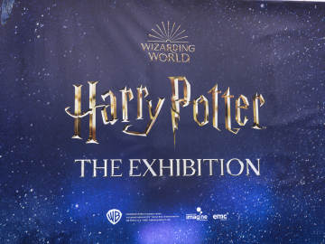 Beloved Harry Potter Star Admits She Does Not 