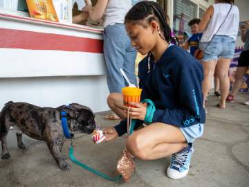 Rita’s Files for Bankruptcy, And It’s Not the Only… 