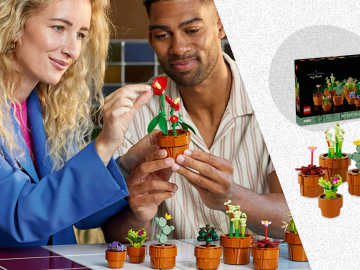One of Lego