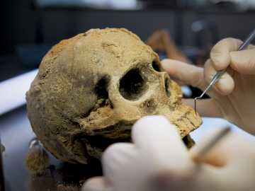 Skull Discovered in 1933 Sheds Light on Ancient Human… 