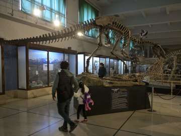 Remains Found of 