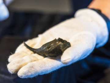 Archaeolgists Find Roman Soldier