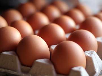 FDA Confirms One Dead After Massive Egg… 