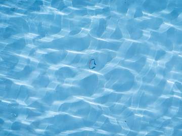 Millions of Above Ground Pools Recalled After… 