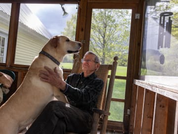 FDA Announces Recall of Dog, Cat Food - Humans Could Be At Risk,… 