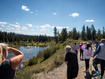 National Park Service Warns Tourists of Possible Bat… 