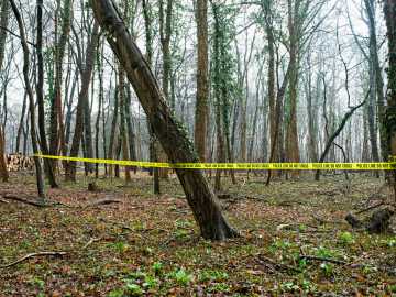 Murder Suspect Posed as Hiker Fleeing Bear to Evade… 