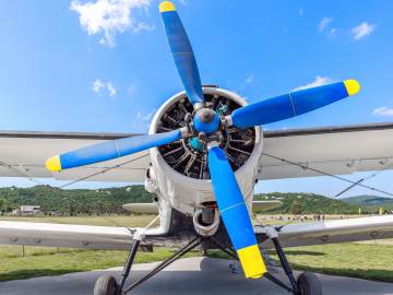 Woman Dies After Freak Airplane Propeller Accident While Taking… 