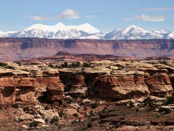 Tourists Hit With Federal Charges After National Park… 