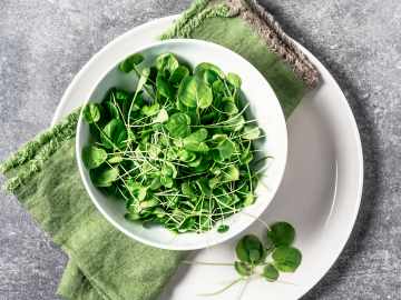 This Aquatic Veggie Was Just Named the Healthiest of All by the… 