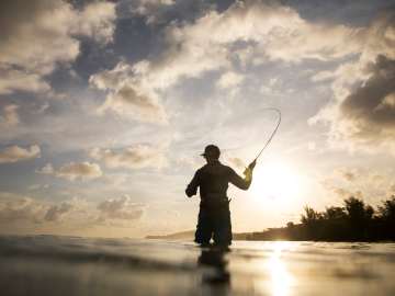 A Georgia magnet fisherman uncovered evidence in the 2015 murders of Bud and June Runion which led to a guilty plea and an eventual conviction.
