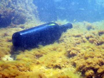 Distillery Turns Grains Recovered From Shipwreck Into… 