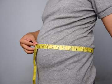 Fat Cells Remember Being Fat, New Yo-Yo Diet Study… 
