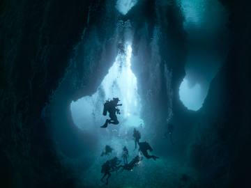 Scientists Discover New Species of Predatory Ocean… 