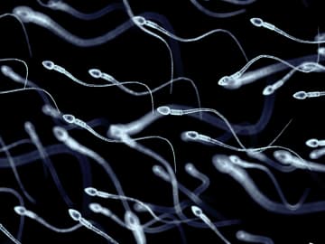 Semen Can Carry More Deadly Diseases Than We… 