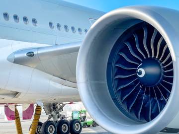 Bird Causes Plane Engine Fire in Terrifying Moment Caught on… 