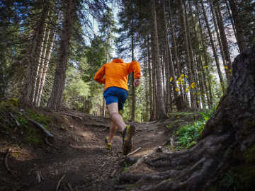 Trail Runner Arrested for Carrying Common Outdoors… 