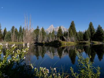 Filmmakers Sue Feds, Calling This National Park Rule… 