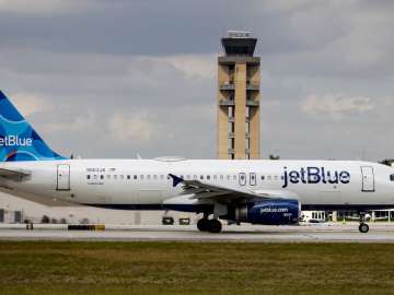 Grizly Discovery Made in Landing Gear of JetBlue… 