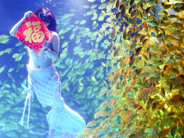 Giant Fish Bites Head of Aquatic Performer Dressed as… 