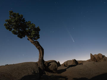 World-Famous National Park Blanketed in Rare… 