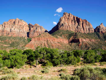 Hiker, 37, Plummets to Death at Popular National… 