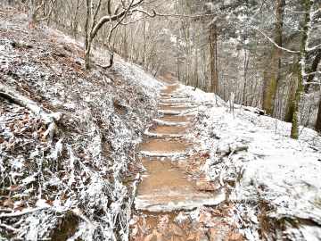 Tragic Update in Case of Missing 73-Year-Old National Park… 