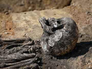 These Ancient Warriors Ate the Brains of Their Enemies, Study… 