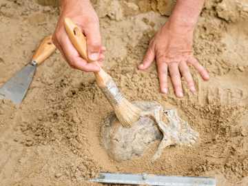 Archaeologists Discover 30,000-Year-Old Remains of Child in Popular National Park… 