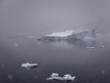 Antarctic Scientists Ask for Rescue for 